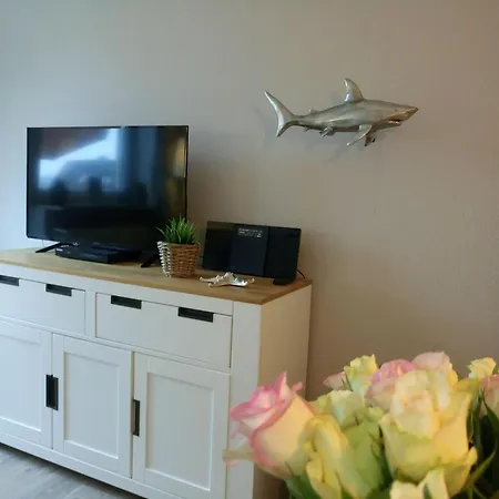 Wattstern * Büsumer Deichhausen