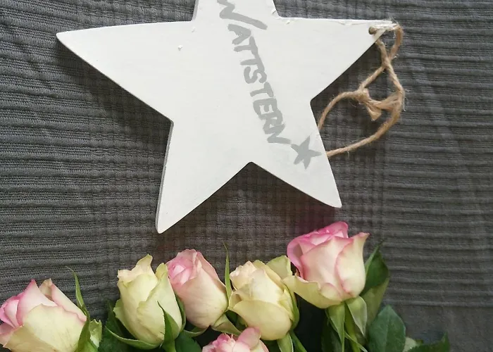 Wattstern Büsumer Deichhausen